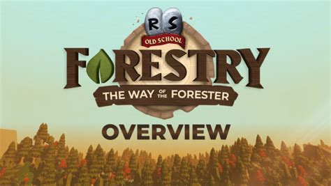 Forestry: The Way of the Forester .